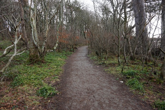 Route 753 Lunderson Bay to Inverkip woodland section