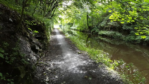 Canal stretch east of Falkirk