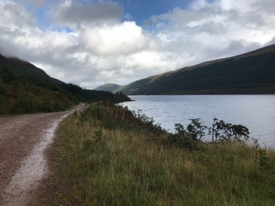 Loch Lochy from forest track